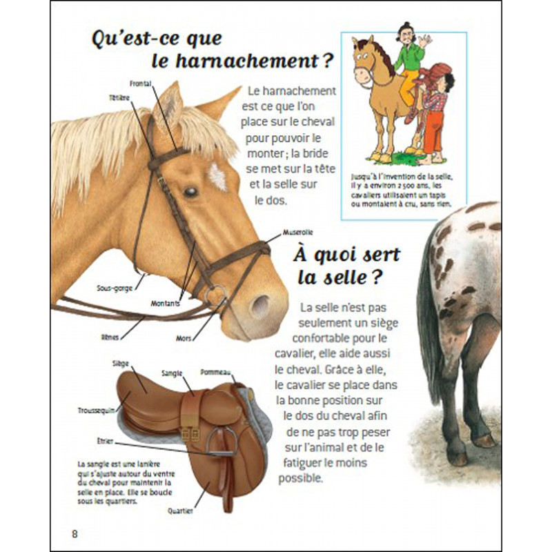 Passion chevaux - Questions/Réponses - doc dès 7 ans