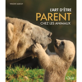 L'art d'être parent chez les animaux