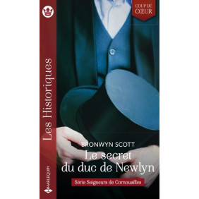 Seigneurs de Cornouailles 4