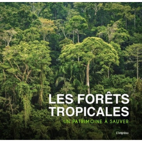 Les forêts tropicales - Un patrimoine à sauver