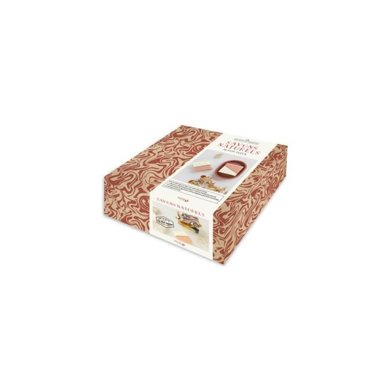 Coffret Savons naturels - Avec 1 moule professionnel, 10 feuilles à motifs, 10 étiquettes