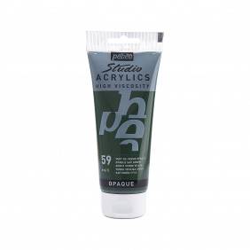 Pebeo Studio Acrylics 100 ml 59 Vert de vessie opaque