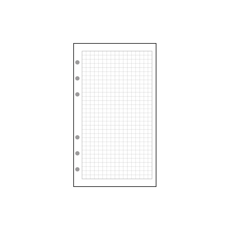 Recharge Exacompta 18111E - Feuillets Quadrillés 5x5 Pour Organiseur Exatime 17 (44 Feuillets Blancs)