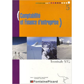 Comptabilité et Finance d'entreprise Tle STG Broché