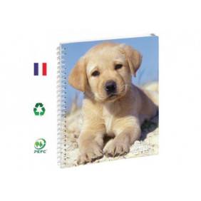 Cahier de texte 17x22cm Chiot Spirales