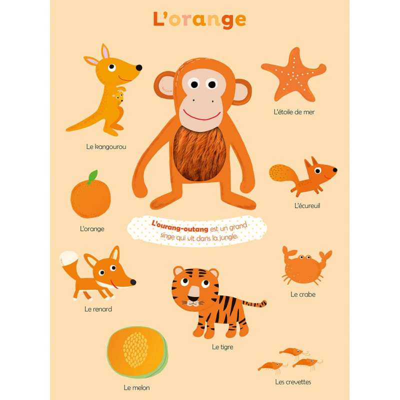 Mes premieres couleurs à toucher - Album - De 0 - 3 ans