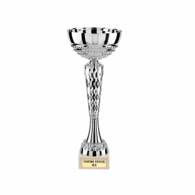 Coupe Argent hauteur 22cm Ø80mm