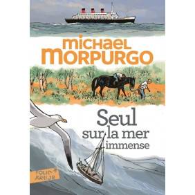 Seul sur la mer immense - Poche