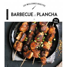 Barbecue et plancha - Grand Format