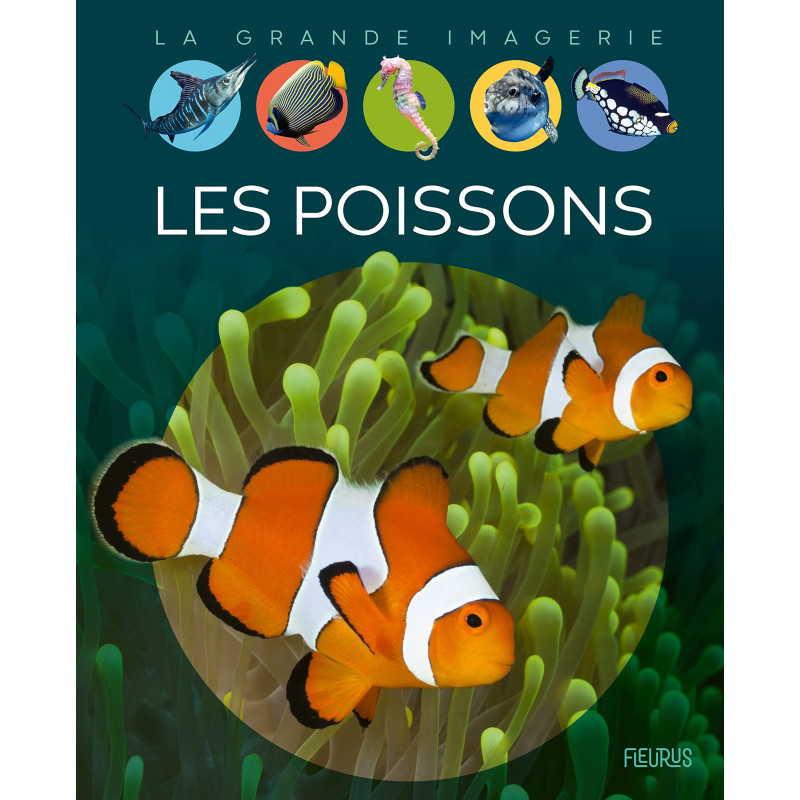 Les poissons - Album - Dès 6 ans