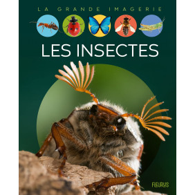 Les insectes - Album - Dès 6 ans