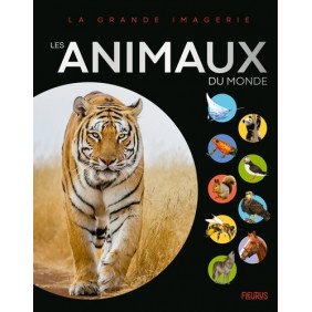 Les animaux du monde - Album - Dès 6 ans