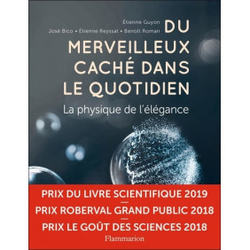 Du merveilleux caché dans le quotidien - La physique de l'élégance - Grand Format