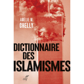 Dictionnaire des islamismes - Grand Format