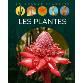 Les plantes - Album - Dès 6 ans