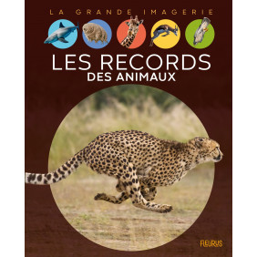 Les records des animaux - Album - Dès 6 ans