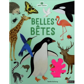Belles bêtes - Album