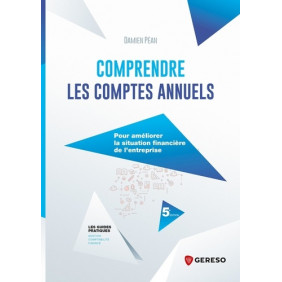 Comprendre les comptes annuels - 5e édition - Grand Format - Librairie de France