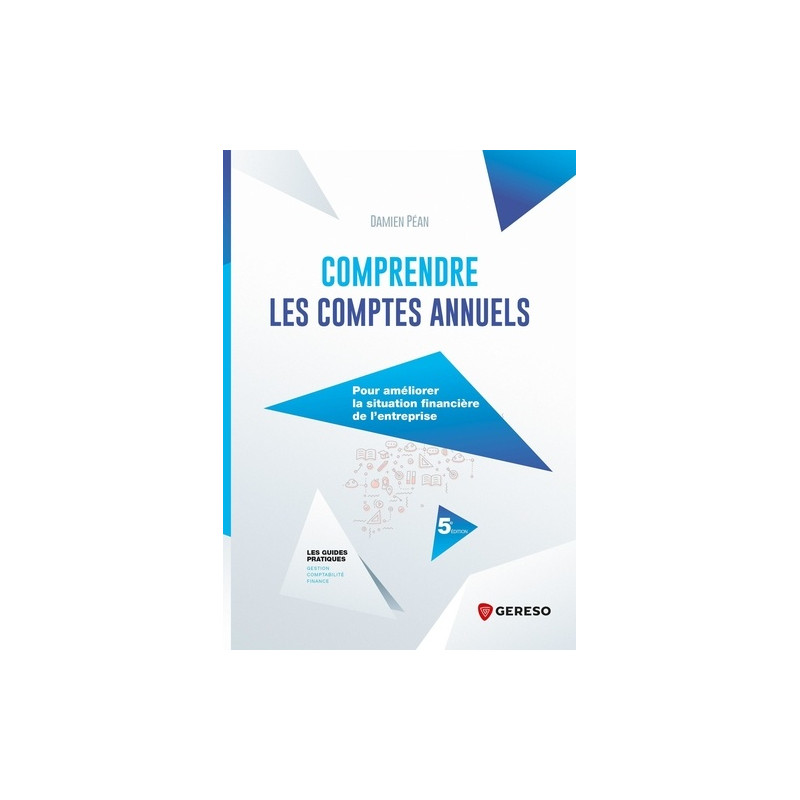 Comprendre les comptes annuels - 5e édition - Grand Format - Librairie de France