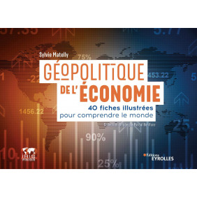 Géopolitique de l'économie - 40 fiches illustrées pour comprendre le monde - Grand Format - Librairie de France