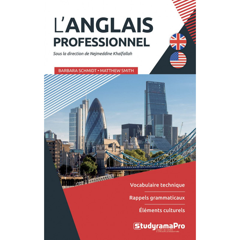 L'anglais professionnel - Grand Format - Librairie de France