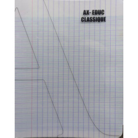 Cahier pique 17*22 96p seyes 90g incolore polypro