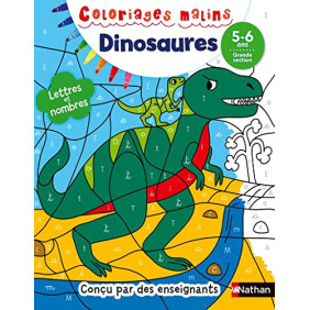 Dinosaures Lettres et nombres GS - Album - Librairie de France