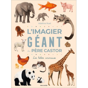 L'imagier géant du Père Castor - Les bébés animaux - 1-3 ans - Album - Librairie de France
