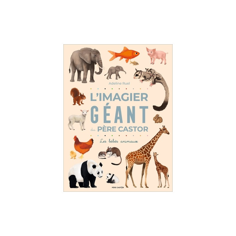 L'imagier géant du Père Castor - Les bébés animaux - 1-3 ans - Album - Librairie de France