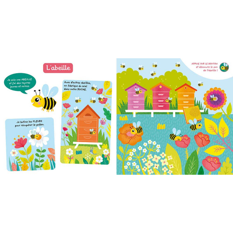 Je découvre les petites bêtes - 0-3 ans - Album - Librairie de France