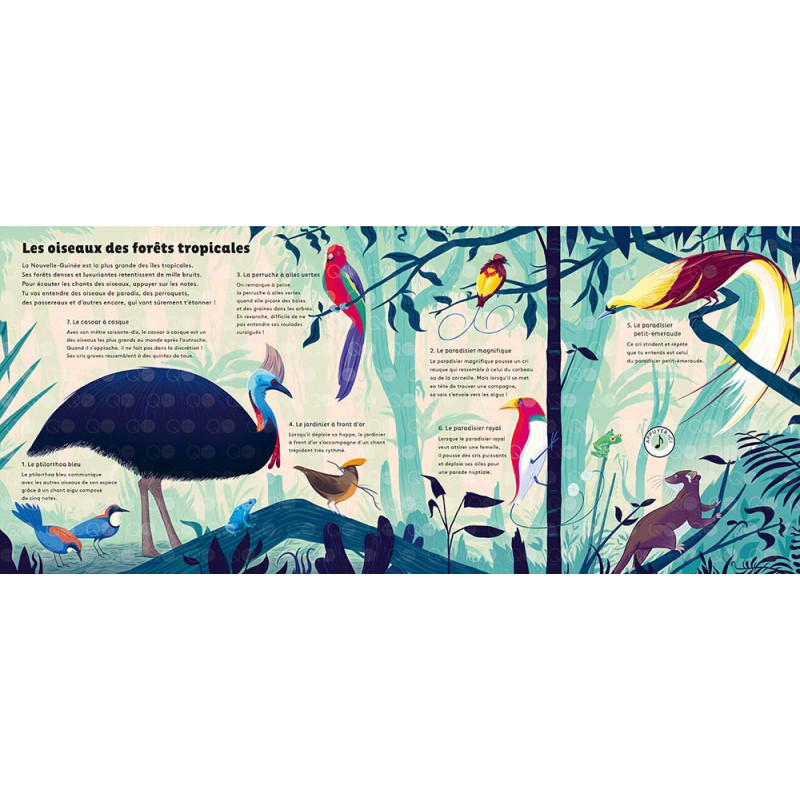 Le monde des oiseaux - 0-5 ans - Album - Librairie de France