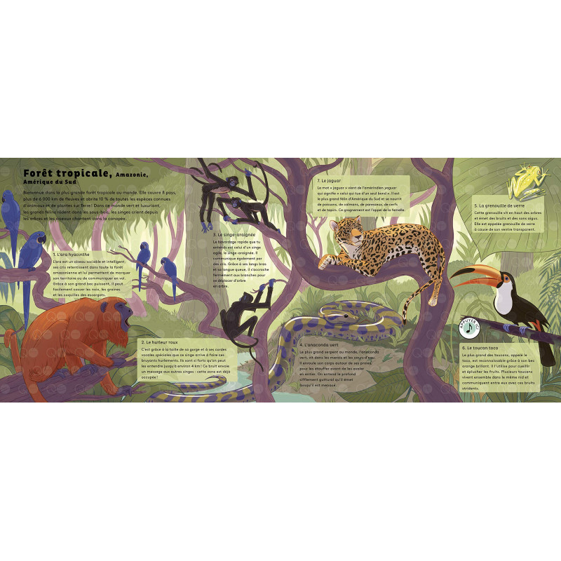 Le monde des forêts - 3-5 ans - Album - Librairie de France