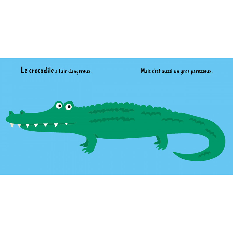 Mon premier imagier des animaux - 0-3 ans - Album - Librairie de France