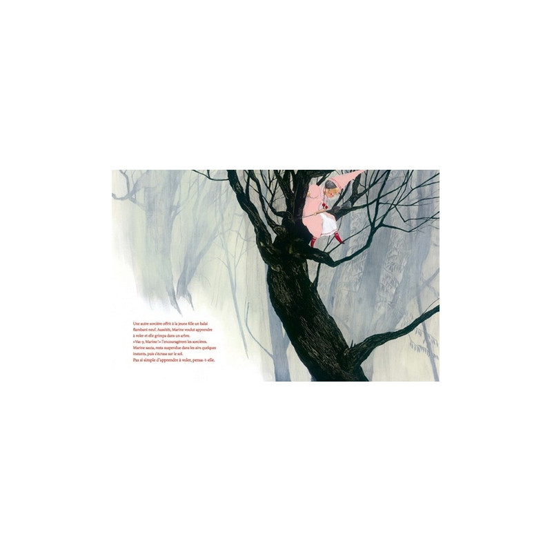 La fée sorcière - Album - Librairie de France