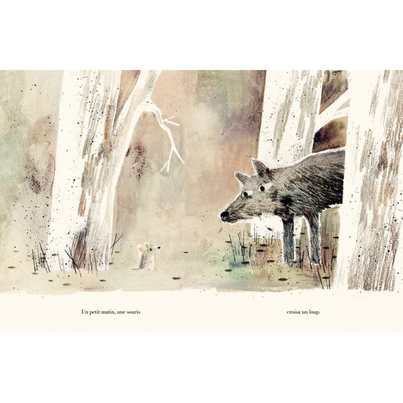 le canard & la souris - 5-6 ans - Album - Librairie de France