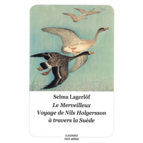 Le Merveilleux Voyage de Nils Holgersson à travers la Suède - Texte abrégé - Poche - Librairie de France