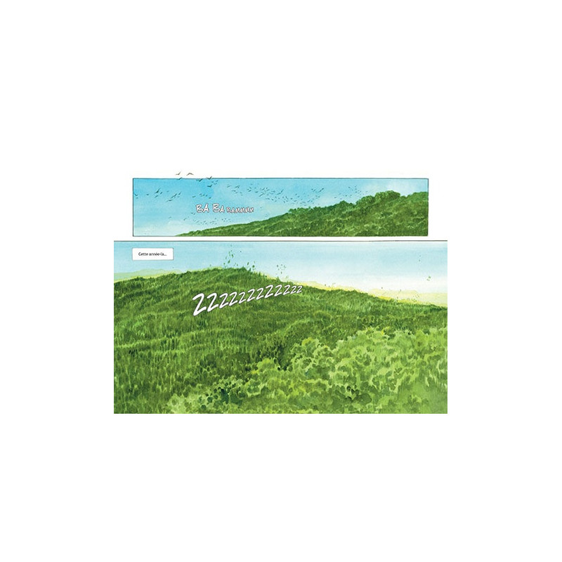 La forêt millénaire - Album - Librairie de France