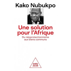 Une solution pour l'Afrique - Du néoprotectionnisme aux biens communs - Grand Format