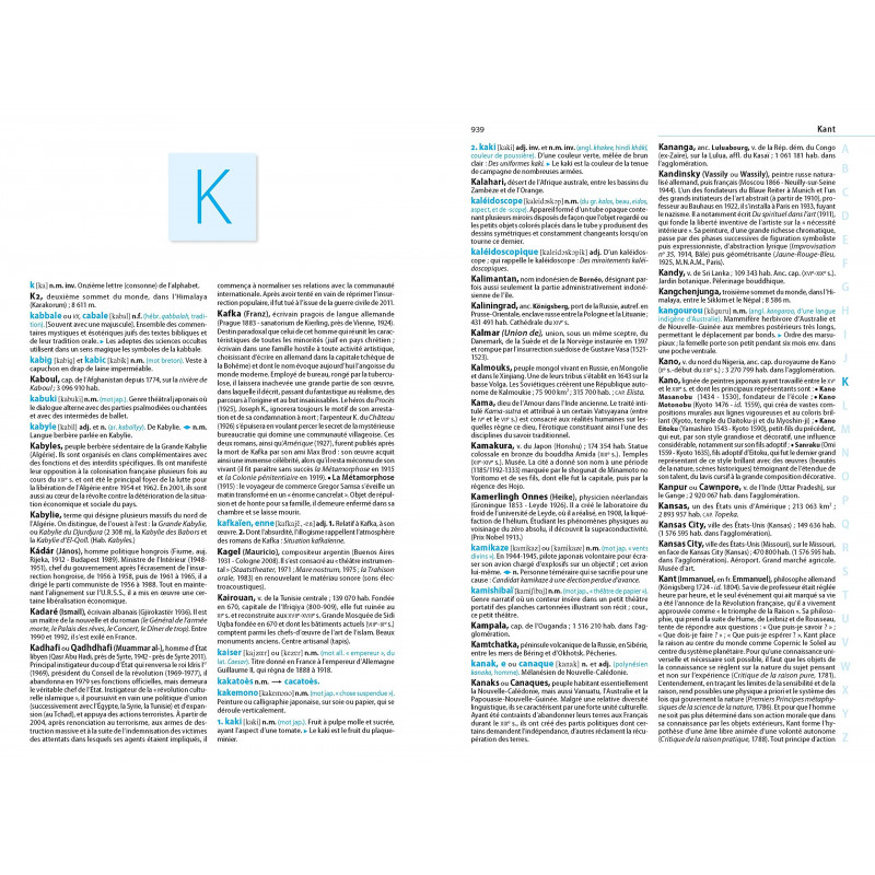 Dictionnaire Larousse du collège bimédia - édition revue et augmentée - 11 à 15 ans - Grand Format - Librairie de France