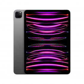 Ipad Pro 11- Inch wifi + cellular 256 GB - Space Grey