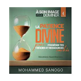 La Patience Divine pour Posséder les Trésors et Ressources cachés – A son Image pour Dominer - T4 - Librairie de France