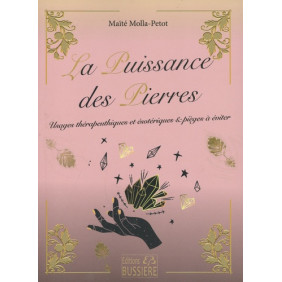 La puissance des pierres - Grand Format - Librairie de France