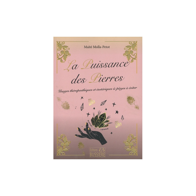 La puissance des pierres - Grand Format - Librairie de France