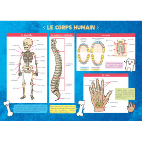 Les posters de l'école : Le Corps humain - Dès 5 ans