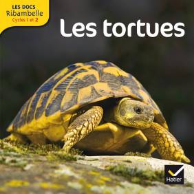 Les tortues - Grande section, CP, CE1 Cycle 2 Edition 2013 - Grand Format