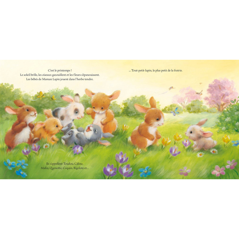 Le Tout Petit Lapin - Dès 3 ans - Album - Librairie de France