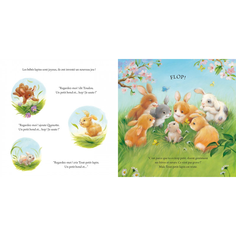 Le Tout Petit Lapin - Dès 3 ans - Album - Librairie de France