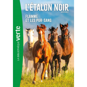 L'Etalon Noir - Flamme et les pur-sang - 8-12 ans - Tome 11 - Poche - Librairie de France