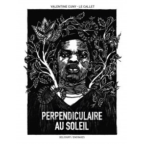 Perpendiculaire au soleil - Album - Librairie de France