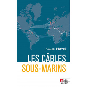 Les câbles sous-marins - Enjeux et perspectives au XXIe siècle - Poche - Librairie de France